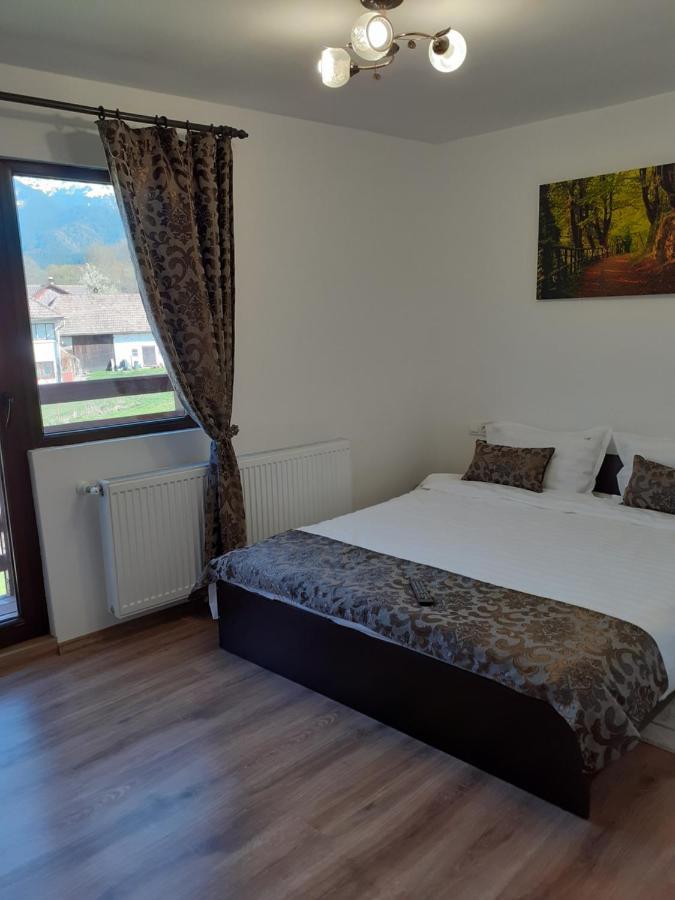 Casa Mosoiu Apartment Bran  Bagian luar foto